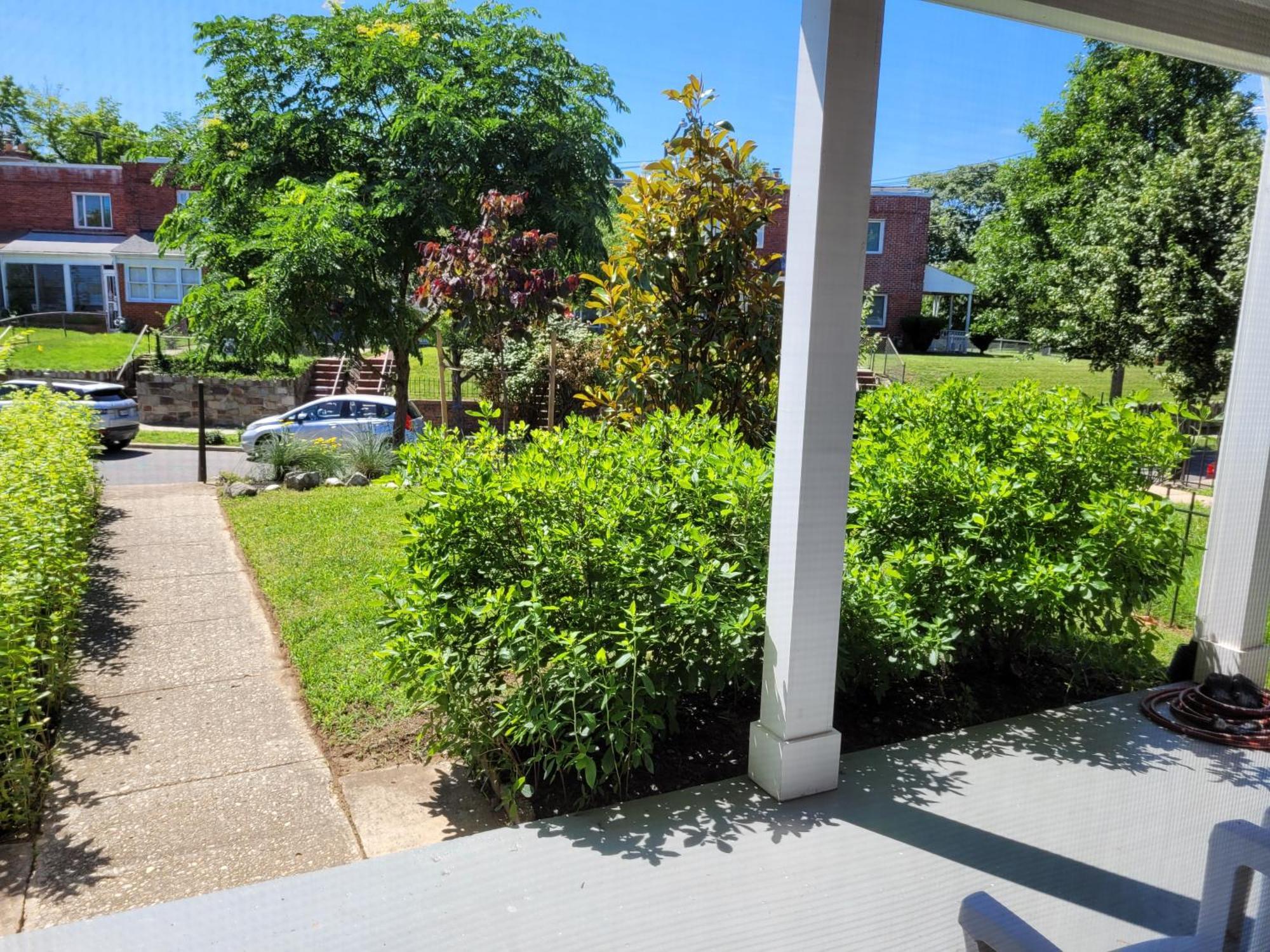 Capitol Hill Adj Home With Parking And Easy Access To Downtown Distrito de Colúmbia Exterior foto